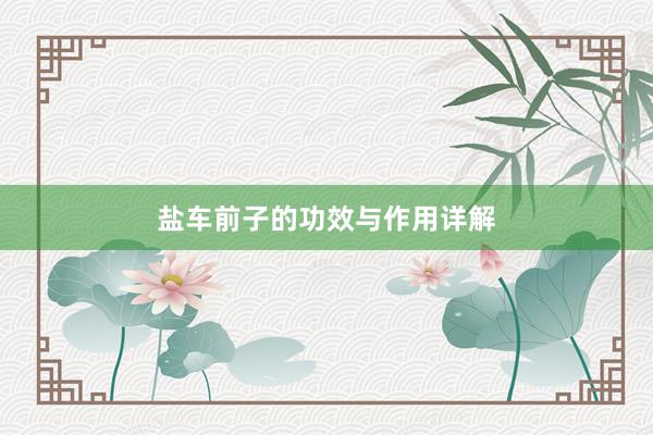 盐车前子的功效与作用详解