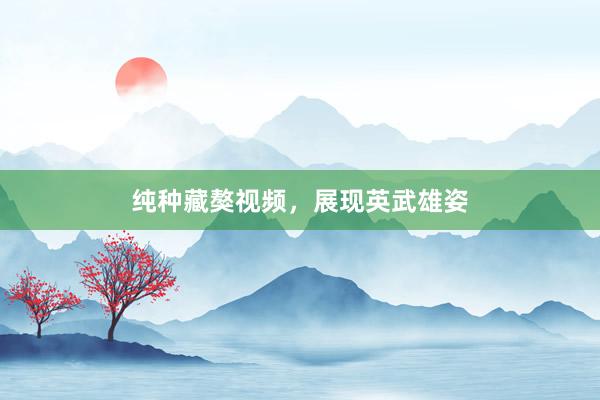 纯种藏獒视频,展现英武雄姿